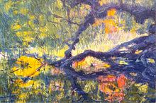Load image into Gallery viewer, Drum Beat of Nature