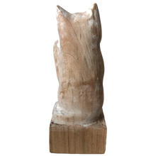 Load image into Gallery viewer, Lucky Cat "Gon"