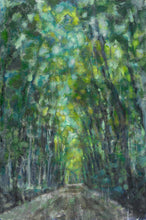 Load image into Gallery viewer, Framed Print "Path" (16x20")
